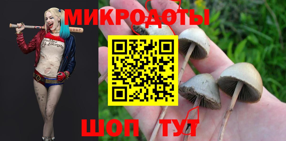 Псилоцибиновые грибы Cubensis  Галлюциногенные грибы мухоморы  Вход с VPN  дарнет шоп  Протвино 